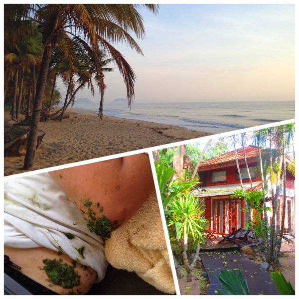 Ban Krut Beach, Jellyfish Sting Herbal Remedy, Bachavara Bungalow